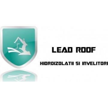 Lead Roof