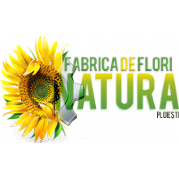 Sc Fabrica De Flori Natura Srl
