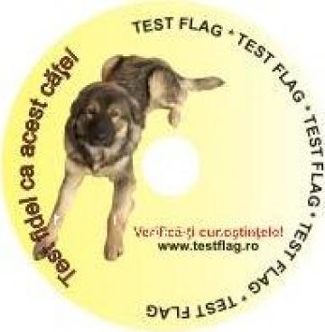 Cd testari cunostinte ECDL de la Test Flag S.r.l.