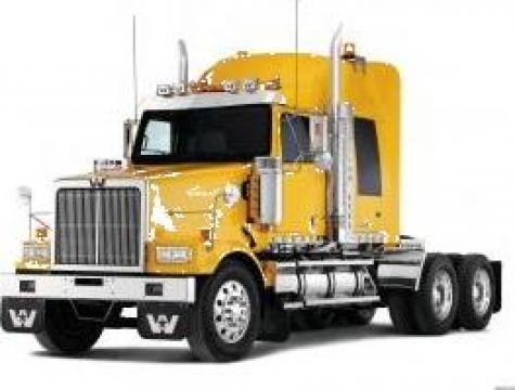 Transport de marfa camioane libere de la Edward Primero Trans
