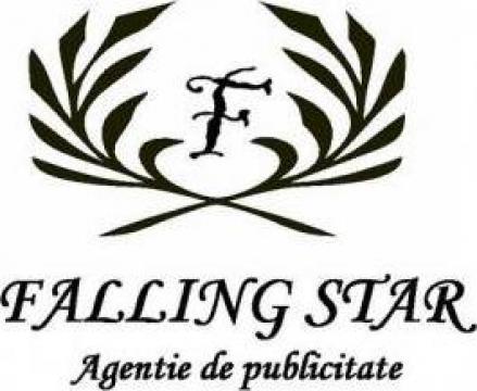 Servicii agentie de publicitate de la Falling Star