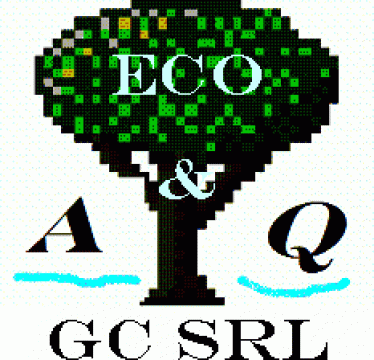Proiectare Sisteme de management de calitate de la Eco&aq-gc