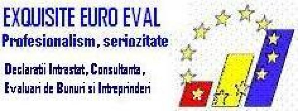 Consultanta declaratii Intrastat de la Exquisite Euro Eval Srl