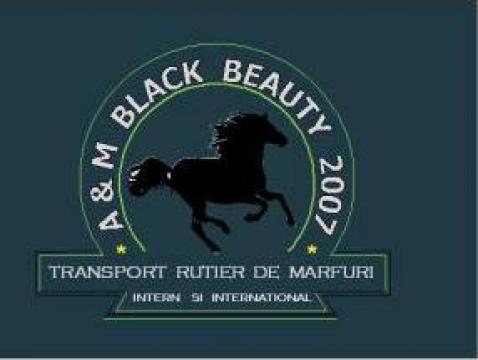 Transport intern-international marfa de la A& M Black Beauty 2007