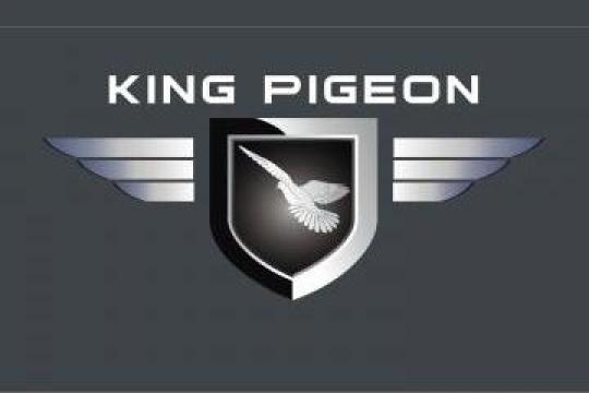 Sistem Intruder alarm Burglar de la King Pigeon Hi-tech.co. Ltd
