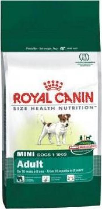 Hrana caini Royal Canin Mini Adult - 8 Kg de la Pet Paradise Srl