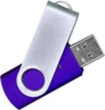 Memory stick 4 Gb Logo