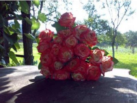 Buchet 9 trandafiri de la Primstar Group Srl