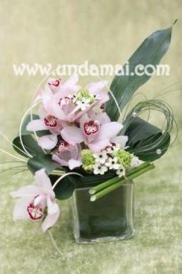 Aranjament floral orhidee, cimbidium si ornitogalum