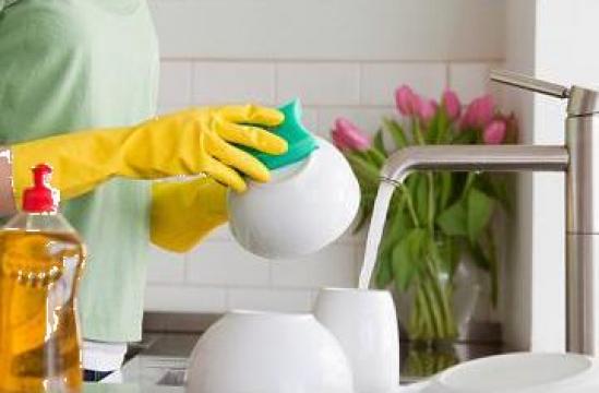 Detergent pentru spalat vase industrial (19 IM)
