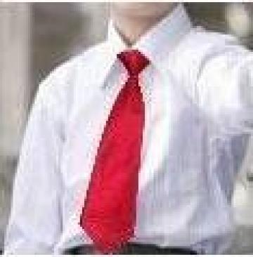 Cravata rosie barbateasca