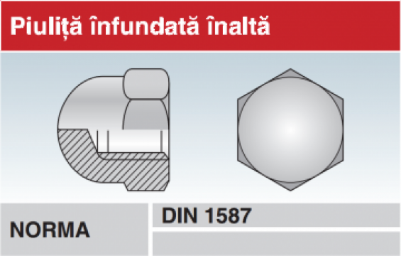 Piulita infundata inalta - DIN 1587