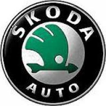 Reparatii casete directie Skoda Octavia de la Auto Tampa