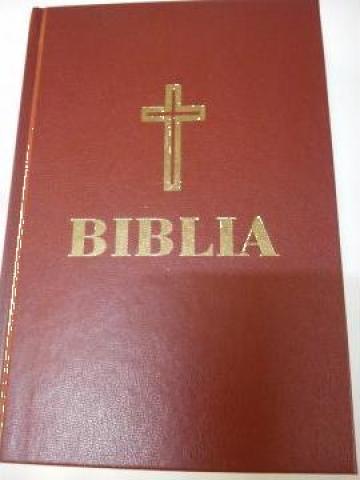 Biblie pentru batrani de la Chris World Srl
