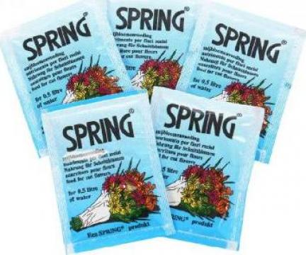 Hrana pentru flori taiate Spring 20 plicuri x 5 gr de la Agan Trust Srl