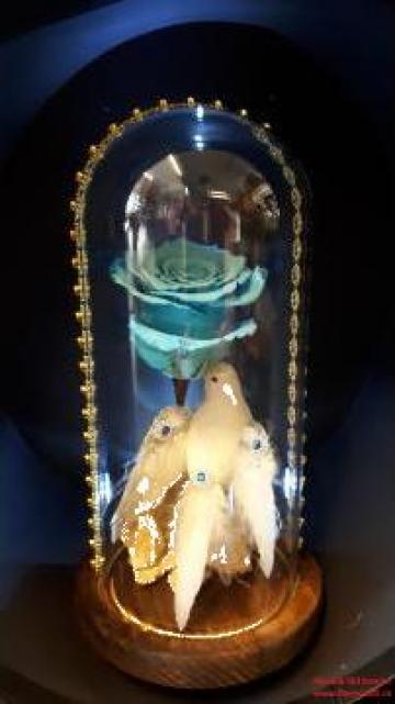 Trandafir albastru criogenat in cupola de sticla de la La Gradina Stil