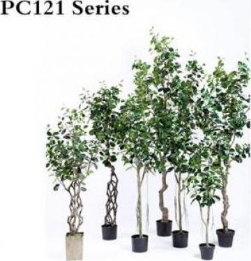 Arbore plastic Ficus Microcarpa Tree de la Sharetrade Artificial Plant And Tree Manufacture Co., Ltd