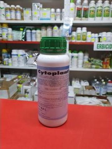 Biostimulator Cytoplant 400 de la Emcril Plant Srl