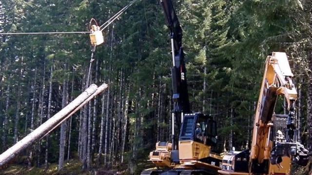 Cabluri forestiere de la Sc Lifting Steel Srl