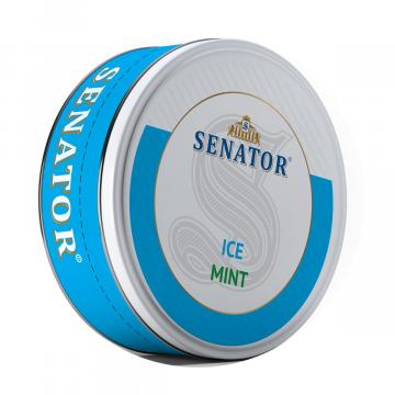 Pliculete cu nicotina Senator - Ice Mint