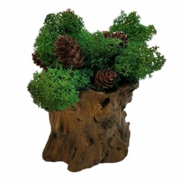 Aranjament licheni ghiveci decorativ verde inimioare M7 de la Decor Creativ