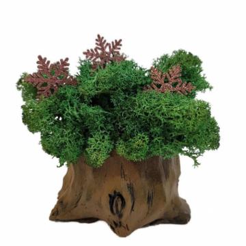Aranjament licheni ghiveci decorativ verde pompon M1 de la Decor Creativ