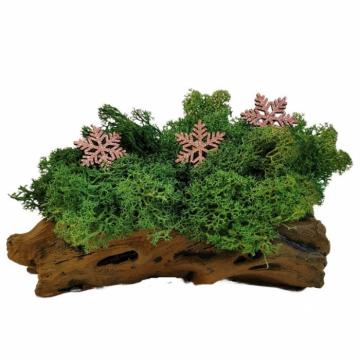 Aranjament licheni ghiveci decorativ verde pompon M2 de la Decor Creativ