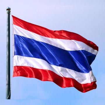 Steag Thailanda de la Color Tuning Srl