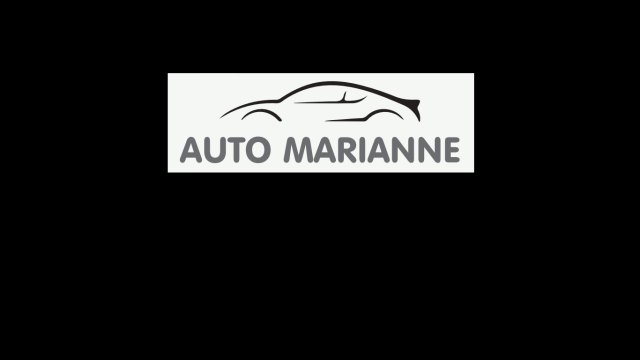 Reparatii auto prin asigurari Rca si Casco de la Auto Marianne Srl