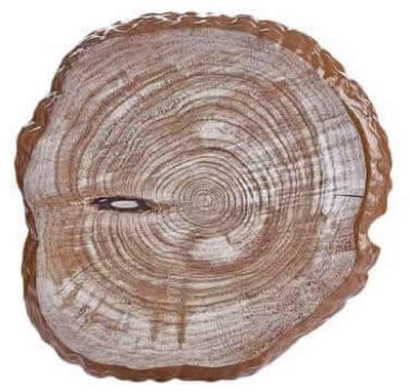 Platou servire melamina Raki, 33x30xh2cm, imitatie lemn