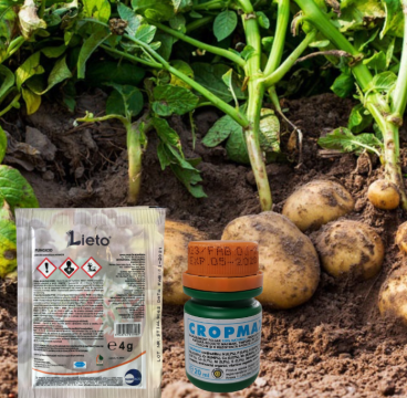Fungicid ingrijire Cartof impotriva Manei pentru 10 l apa de la Dasola Online Srl