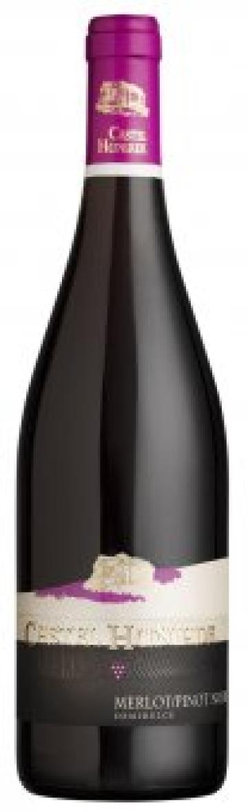 Vin rosu sec Castel Huniade Merlot/Pinot noir 0.75l Alc. 13%