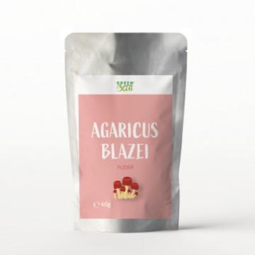 Pudra Agaricus Blazei, 60g, Green Bliss de la Supermarket Pentru Tine Srl