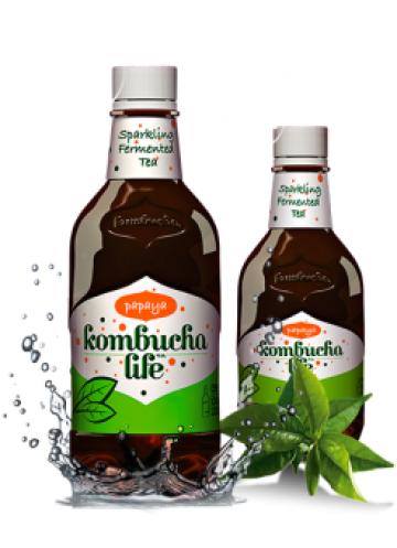 Bautura Kombucha Life cu papaya 500ml de la Supermarket Pentru Tine Srl