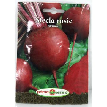 Seminte sfecla rosie Detroit 5 gr, Prima Sementi de la Loredo Srl