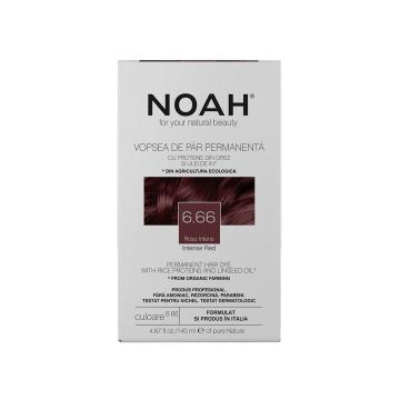 Vopsea de par Noah 925 de la Mass Global Company Srl