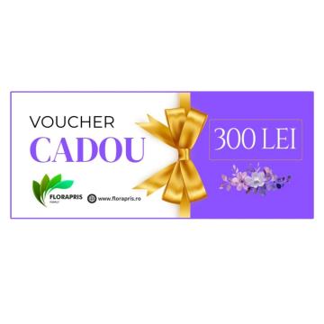 Voucher cadou 300 lei