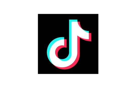 Campanii TikTok Ads