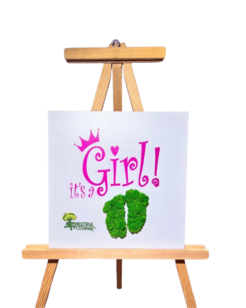 Tablou Maestrul Lichenas - It's A Girl