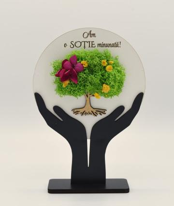 Ceas cu licheni verde 25 cm CL03 de la Flower Power Gift