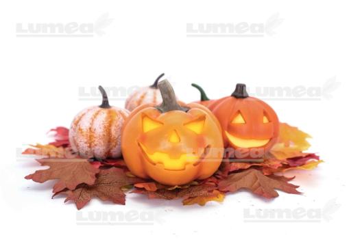 Vafa tort Halloween 17 de la Lumea Basmelor International Srl