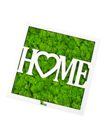 Tablou Home decorat cu licheni naturali