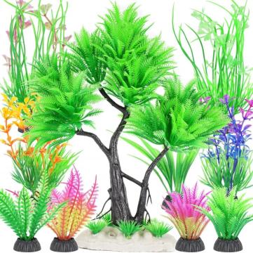 plante de acvariu