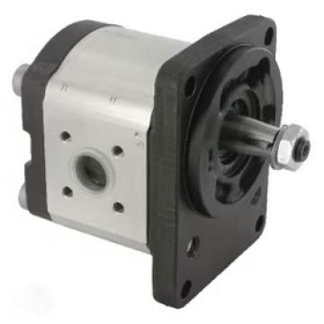 Pompa hidraulica dubla Bosch Rexroth 0510725189 de la SC MHP-Store SRL