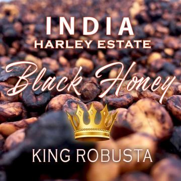 Cafea India Black Honey - King Robusta - Harley Estate