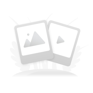 Ambalare cadou carti de sah de la Chess Events Srl