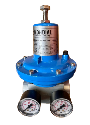 Regulator GPL cu 2 manometre 1''x 1'' de la Mooira Strategic 168 Srl