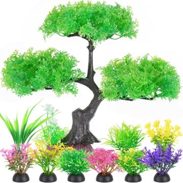 plante de acvariu
