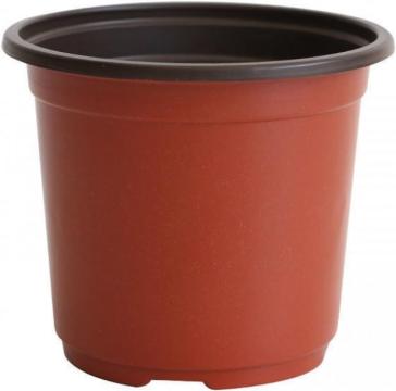 Ghivece din plastic maro pentru flori 10x6x8.5 cm 100 bucati de la Molifag Srl