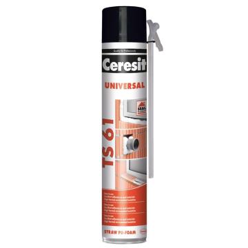 Spuma montaj TS 61 750ml